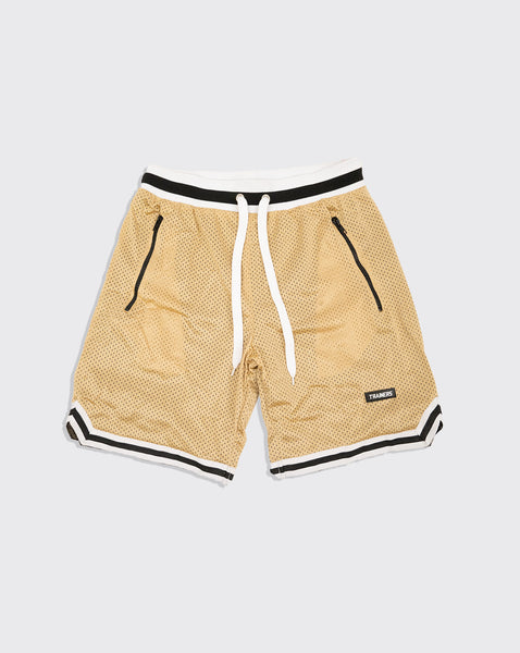 trainers v2 rucker basketball short