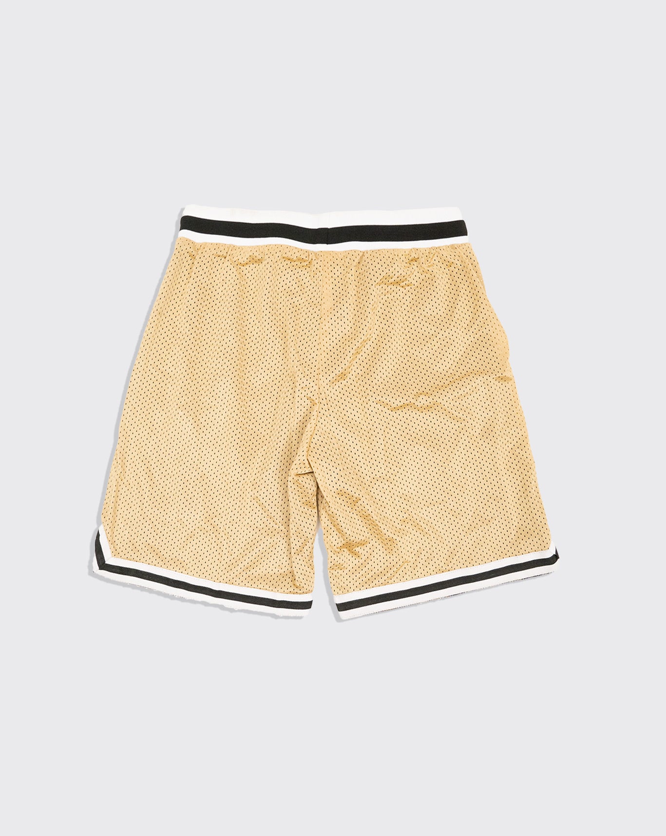 trainers v2 rucker basketball short